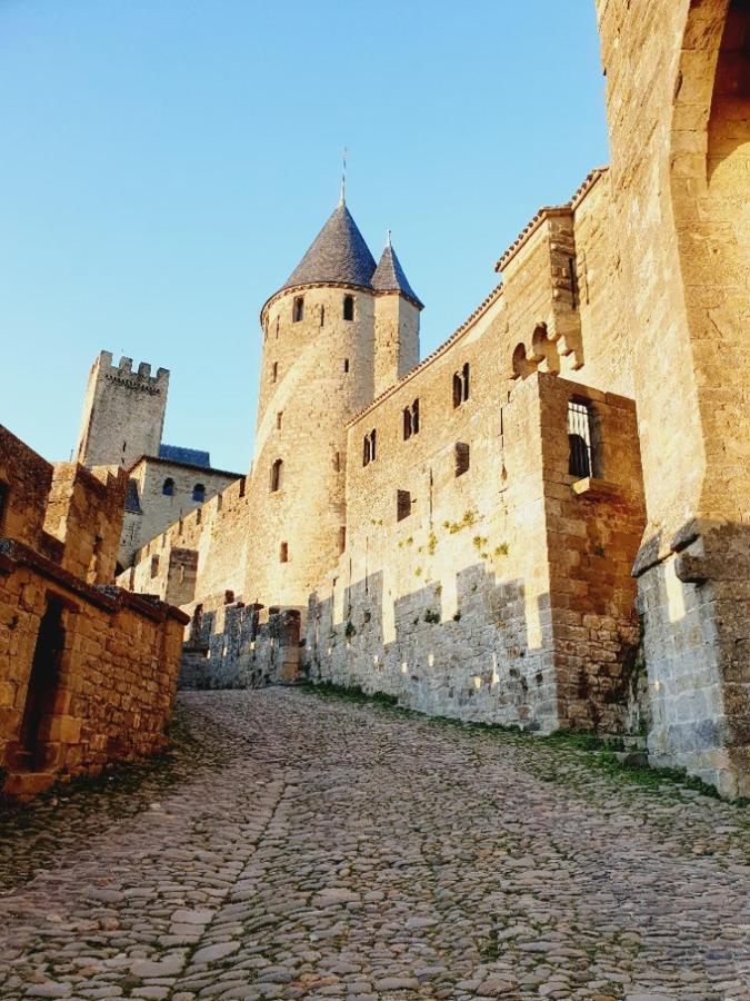 Maison Avec Jardin Au Pied De La Cite Medievale Καρκασόν Εξωτερικό φωτογραφία